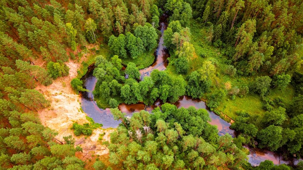 Dzukija-Nationalpark