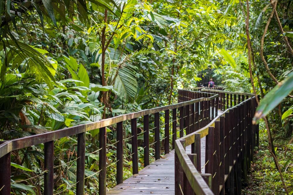 Cahuita Nationalpark in Costa Rica