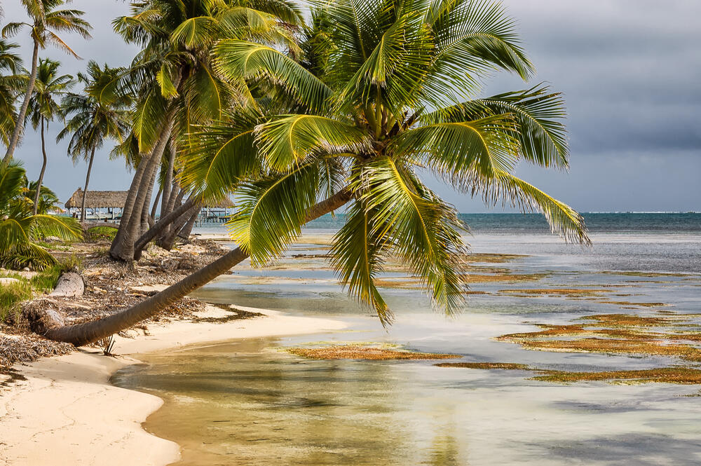 Strand auf der Insel Ambergris Caye
