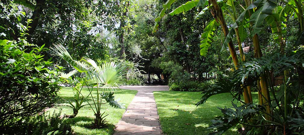 Garten