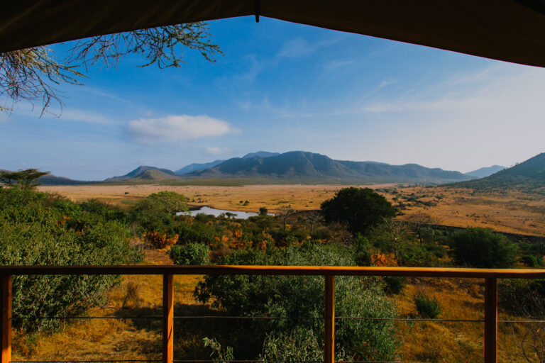 Safari View 