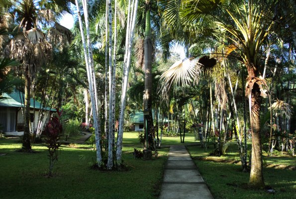 Gartenbereich