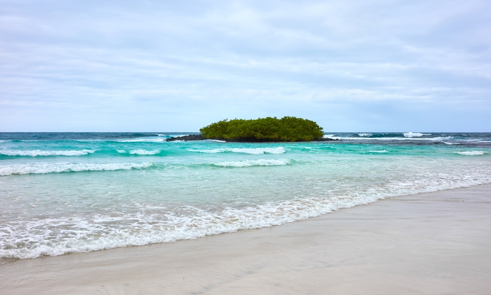 Tortuga Bay