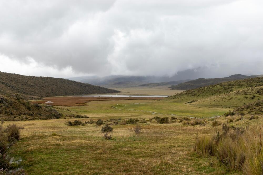 Limpiopungo Lagune